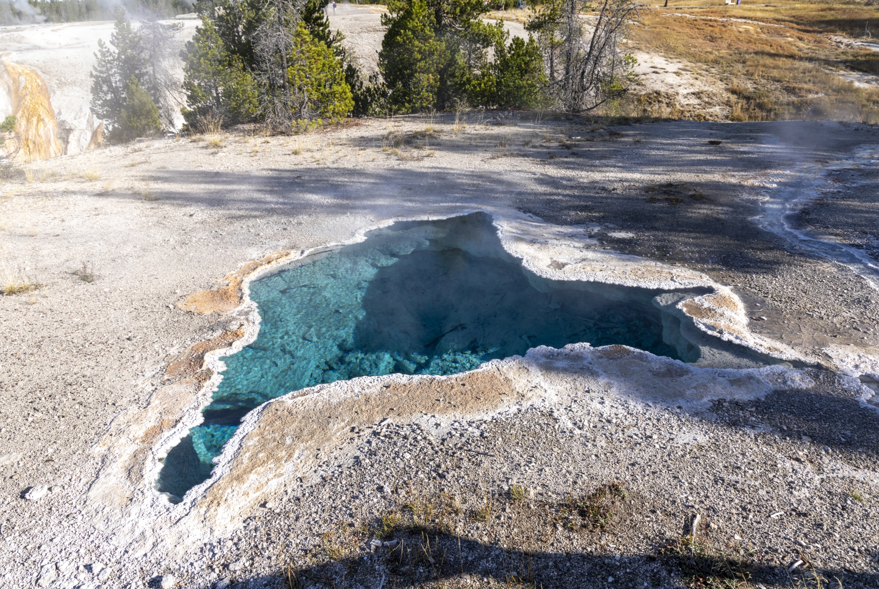 /gallery/north_america/USA/Wyoming/yellowstone/Old Faithful Geyser Area Yellowstone 2024-021_med.jpg
